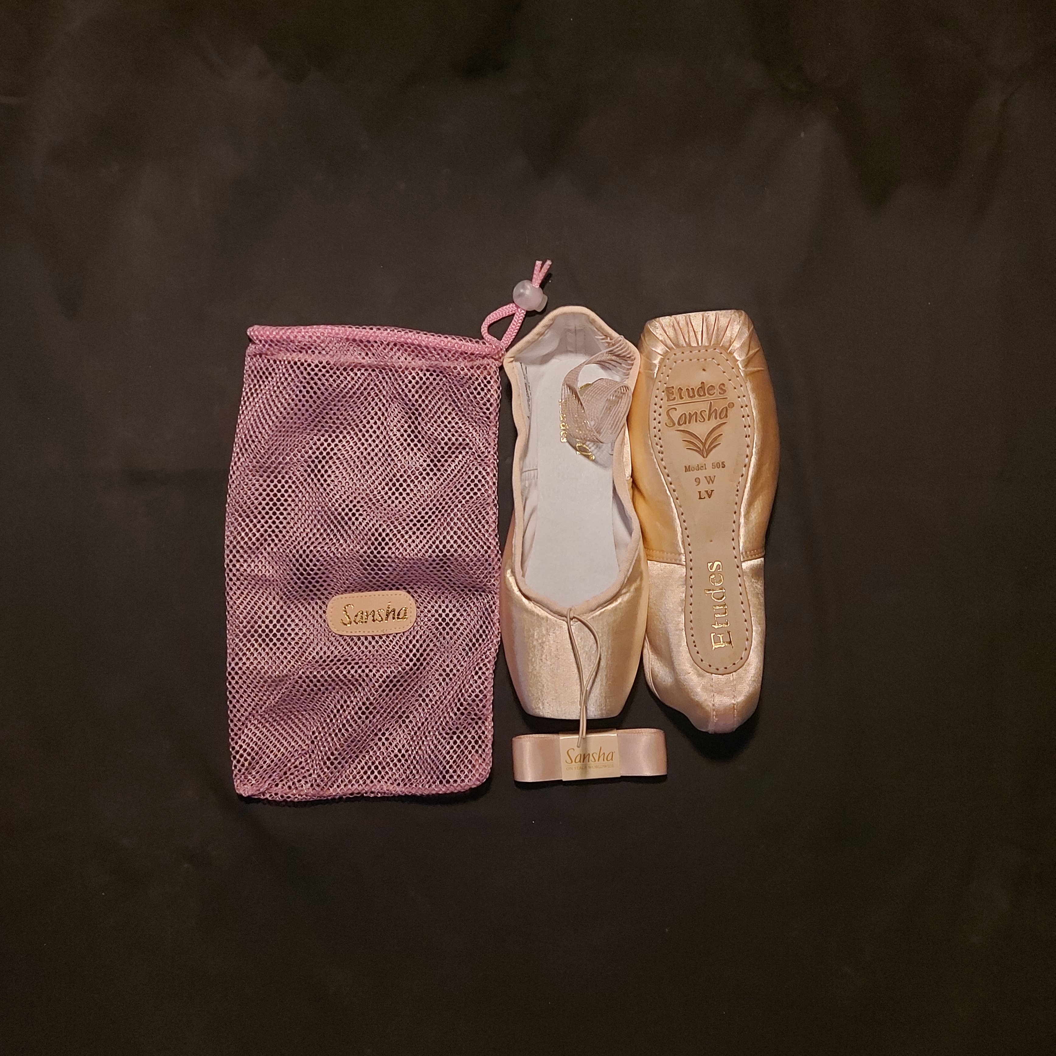 Sansha Etudes Profesyonel Point